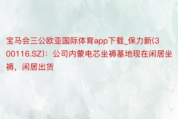宝马会三公欧亚国际体育app下载_保力新(300116.SZ)：公司内蒙电芯坐褥基地现在闲居坐褥，闲居出货