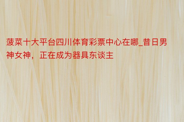 菠菜十大平台四川体育彩票中心在哪_昔日男神女神，正在成为器具东谈主